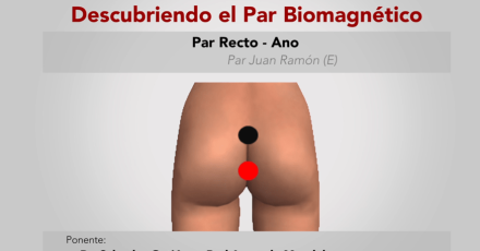 Par recto ano