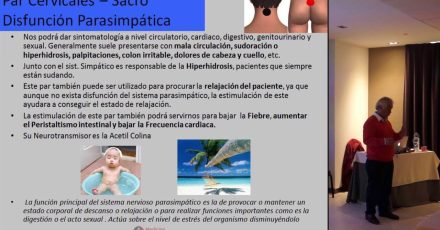 par_cervicales_sacro_disfuncion_parasimpatica_fragmento_curso