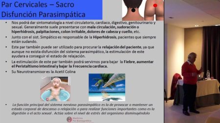 par_cervicales_sacro_disfuncion_parasimpatica_fragmento_curso