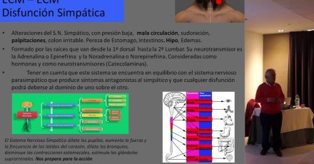 Descubriendo el Par Biomagnético Par ECM - ECM.
