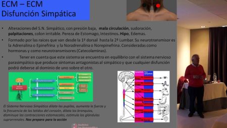 Descubriendo el Par Biomagnético Par ECM - ECM.
